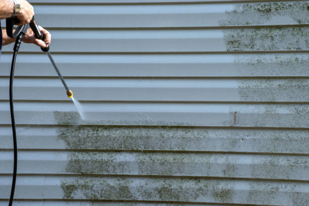 Best Siding Painting and Refinishing  in Lawndale, CA