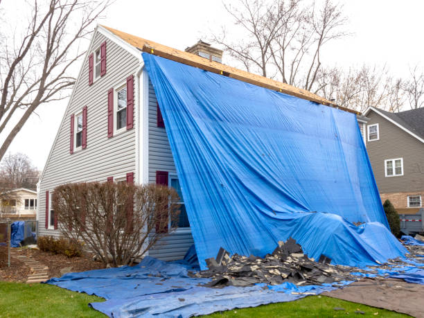 Best Brick Veneer Siding  in Lawndale, CA